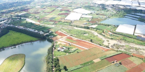 Bán đất nền tại khu nghỉ dưỡng Dalat Pearl,Đơn Dương,Lâm Đồng