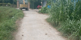 Đất nhà vườn gần Xuyên Á DT 1000m2 2MT đường ô tô giá 7 Tỷ