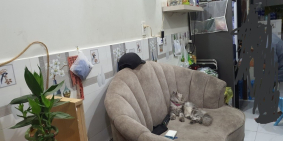 Gấp bán nhà HXH 5m Kênh Tân Hóa Tân Phú 35m2 chỉ 3.3 tỷ