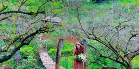 ĐẤT NỀN NGHỈ DƯỠNG MỘC CHÂU cơ hội đầu tư sinh lời