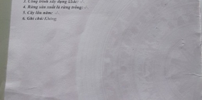 Bán đất mặt tiền quốc lộ 19 - Trung tâm xã An Phú