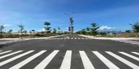 Paragrus giá tốt chốt ngay trong ngày