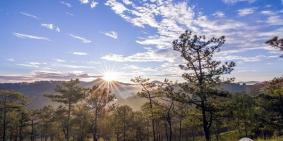 Bán đất bảo lâm - bảo lộc - lâm hà - lâm đồng - giá ưu đãi