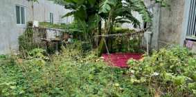 Chính Chủ Thổ Cư 103m2 (4x26) Cạnh UBX Long Hậu XDTD