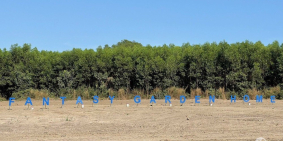 Đầu tư đất nền gần Khu công nghiệp Đất Đỏ - Bà Rịa Vũng Tàuta