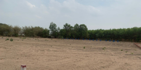 NGỘP TIỀN NGÂN HÀNG CẦN NHƯỢNG GẤP 3 LÔ ĐẤT