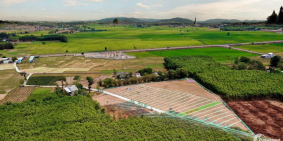 Chủ cần tiền cưới vợ nên chủ bán rẻ lô đất gần kcn 2000ha