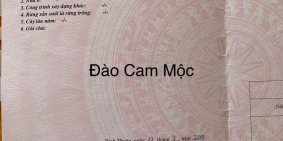 MT Đường Nhựa Đào Cam Mộc - 100m2 Giá chỉ 1850 !