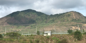 Đất trồng cao su đang cho thu hoạch mủ