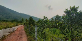 Chính chủ cần bán gấp lô đất trồng cây lâu năm, có sổ, Đại La , ĐN