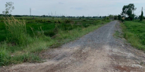 Đất vườn 1 sẹc Nguyễn Kim Cương, Tân Thạnh Đông. 834m2 giá 2tỷ5 bớt lộc, SHR