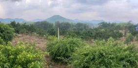 2HA thuộc KIM LONG BÌNH SƠN , giáp quy hoạch hồ GỀNH CHÈ