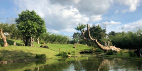 Mua Nhà phố dự án Thành Phố Cà Phê tặng hồ sinh thái với giá cực tốt