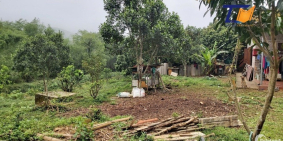 Bán đất Thanh Sơn Phú Thọ 5655m2 Giá siêu rẻ LH: A Tiến 0586.22.9999