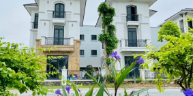 Bán biệt thự nhà vườn trong dự án Centa City, Từ Sơn, Bắc Ninh