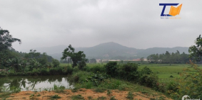 Quá đẹp cần bán gấp lô đất 2000m2 Giá siêu rẻ vị trí đẹp nhanh tay LH: A Tiến