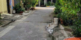 Nhà MT Lê Thị Hà-Hóc Môn 1 trệt 1 lầu SHR giá 3,8 tỷ