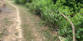 1554m2 có 400m2 thổ cư - HUYỆN TÂN LẠC HOÀ BÌNH