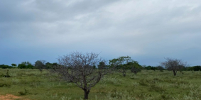 Còn 3 lô đất vườn bắc bình gần đường liên huyện giá ưu đãi Lh 0938677909 Hiền