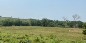 Bán đất diện tích lớn tại Thành Mỹ Thạch Thành T.hóa