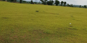 Bán 19,581m2 đất sào hoà thắng cách liên huyện 350m chỉ 120k/m2 Lh 0938677909