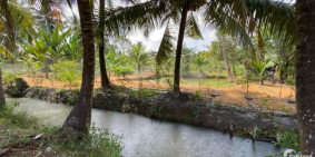 ĐẤT THỔ CƯ TAM HIỆP GẦN QUỐC LỘ 1A