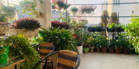 Long Biên có Phố Bồ Đề-trung tâm quận tuyệt đẹp 50m2 7T MT6m kinh doanh 8,8 tỷ.