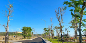 CHẦN CHỜ GÌ NỮA!!! Đất nền ven biển chỉ từ 1,1 tỷ lh 0905146434