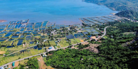 Đất vị trí đẹp – pháp lý rõ ràng – an toàn sinh lợi – TP CAM RANH