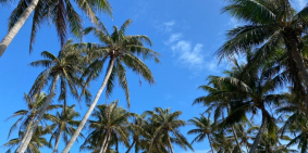 600M2 Đất BIỂN Sông Cầu – vùng Vịnh nằm giữa 2 ngọn núi, mặt biển Thiên nhiên cự