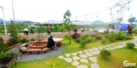 Ai lên xứ hoa đào đừng quên ghé thăm Dalat Pearl