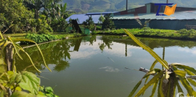 Cần bán đất Thanh Sơn Phú Thọ 5800m2 Sát tỉnh lộ 316 giá lại rẻ vị trí đẹp