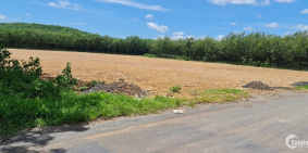 76 nền chưa bung mặt tiền đường ĐH Đồng Tâm - Thuận Lợi 32m chỉ 700-800tr/250m2