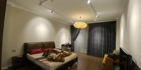 Ngay khu Vip Phường 3 Tân Bình, giảm giá sập sàn, chốt bất chấp, cho thuê  20tr/