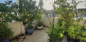 Bán Nhà Bạch Đằng - BÌNH THẠNH - 100M2, 5 TẦNG BTCT - CHỈ 10 TỶ