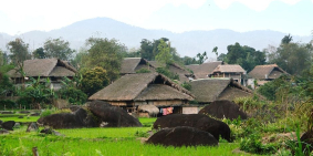 Bán đất Hà Giang, đón đầu cao tốc Tuyên Quang-Hà Giang hàng F0 giá rẻ