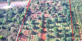 Cần bán 2ha1,đất trồng sầu riêng và bơ,cách nhựa 1,5km