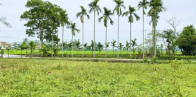 Chủ cần bán lô đất Quảng Phú, Quảng Điền giá nét nhất thị trường hiện tại.