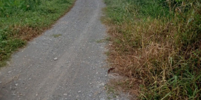 Đất MT rạch xã Trung An đường ô tô DT 3209m2 giá 1,7tr/m2