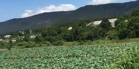 Bán hơn 2 sào 1 tại Lạc Xuân, Đơn Dương giá 1.32 tỷ