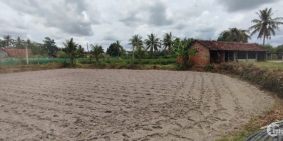 Bán đất thổ cư kèm vườn 4.500 m2 xã Bình Thuận, Tây Sơn, Bình Định