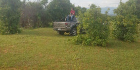 Lô đất đường QL1A Diện tích 2,5 Ha gần Safari,có đường trên sổ.SHR