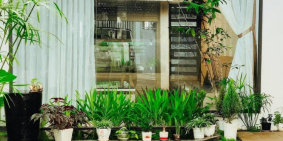 Bán Biệt Thự Tân Lợi, Ngay Khu Trung Nguyên