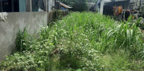 Bán đất Tc mặt tiền đường Huỳnh Văn Cọ, TT Củ Chi. 270m2 Chỉ 1.3 tỷ