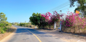 Bán lô đất vườn nhãn bên suối nhà vườn nghỉ dưỡng