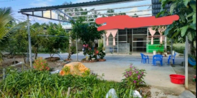 Bán đất CLN 862,5m2 ấp 3, xã Vị Tân, TP Vị Thanh, tỉnh Hậu Giang.