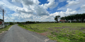 Đất Đường Nhựa Gần KCN Phước Đông, Gò Dầu, Tây Ninh