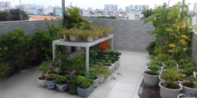 Bán nhà 6 tầng 3.8x10m Q.Tân Phú, có sổ hồng, full nội thất