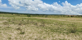 Bán 25,376m2 đất sào bình tân ngay khu dân cư hiện hữu chỉ 135k/m2 Lh 0938677909