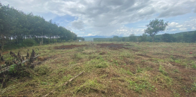  Đất vườn đầu tư giá F0 tại Đăk Nông 30 nền duy nhất 